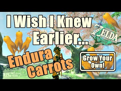 Endura Carrots Zelda Tears of The Kingdom