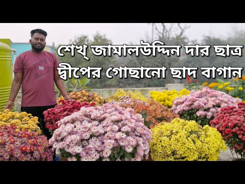 শেখ্ জামালউদ্দিন দার ছাত্র দ্বীপের গোছানো ছাদ বাগান|পুষ্পকাহন|