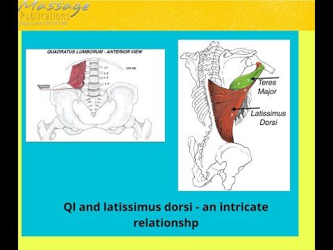 Quadratus Lumborum and Latissimus Dorsi an intricate relationship