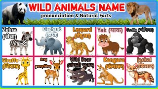 Wild Animals Name Hindi&English With Spelling,Pictures&Facts|जंगली जानवरों के नाम हिंदी और अंग्रेजी|