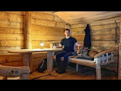 Living with my dog in a log cabin. I build beds from natural materials