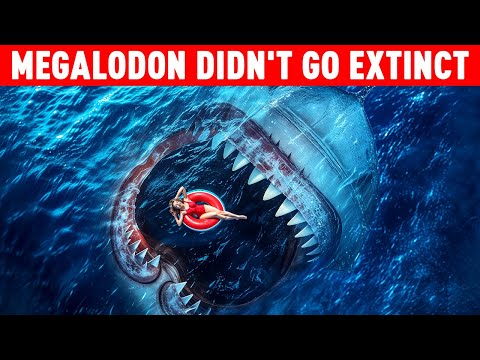 If You're Afraid Of The Sea Don't Watch This Video!