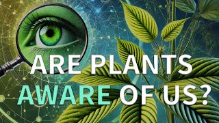 Do Plants Have Minds? Discover The Secret Life of Plants