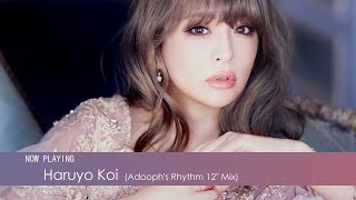 ayumi hamasaki - 春よ、来い Haruyo Koi (Adooph's Rhythm 12'' Mix) 浜崎あゆみ