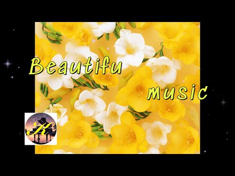 Piano and violin instrumental music for relaxing the body and mind