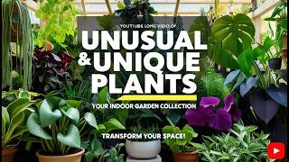 Unusual and Unique Plants for Your Indoor Garden Collection | Rare Houseplants You’ll Love 🌿✨