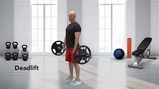 How to do a Barbell Deadlift