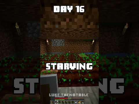 100 Days - [Minecraft Shorts] - Day 16 #minecraft #100days