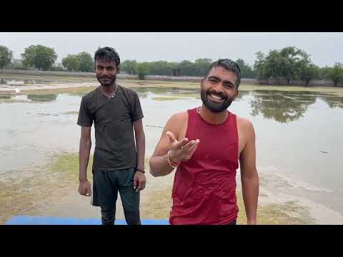 Yoga day special in cricview cricket academy with too much fun activities too