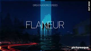 GreatAudioRecorded - Flaneur