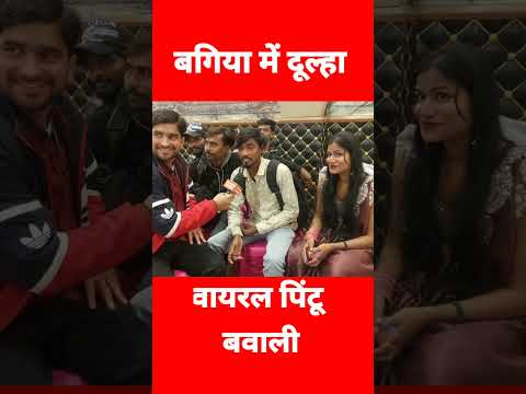 पिंटू बवाली से गाना सुनिए | Kala Chashma Mani Meraj | Hero Gayakaar Mani Meraj Vines | Open News