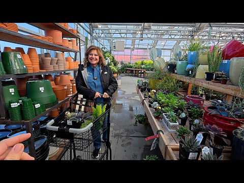 I Found a Cinnamon Tree! 🙌 Spur of the Moment Plant & Antique Shopping Trip with Mom! 💚