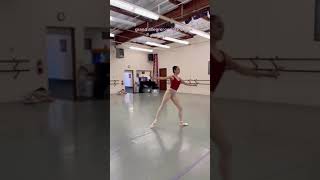  BallerinaLife #DanceLikeABallerina #GracefulMoves #BalletBeauty (3)