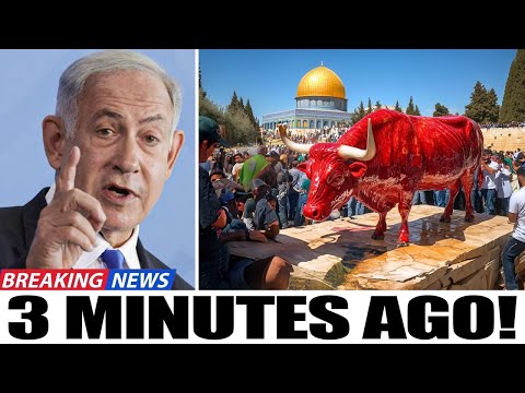 The Biblical Prophecy Is Being Fulfilled Now In Jerusalem! God's Power Revealed...