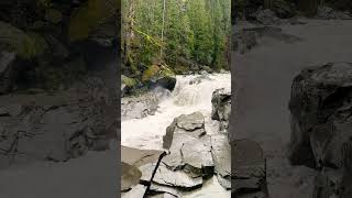 Raw Power of Nature | Granite Falls, WA#GraniteFalls #WaterfallVibes #NaturePower #PNWExplorers