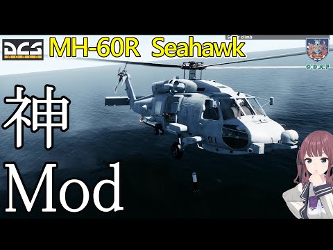 【DCS解説】❗️全部無料❗️Seahawk Modの入れ方、対潜戦闘チュートリアル❗️