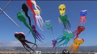 Berkeley Kite Festival 2017