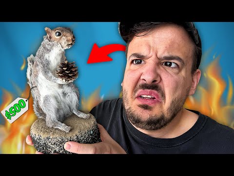 we reviewed DEAD ANIMALS from etsy... (taxidermy)