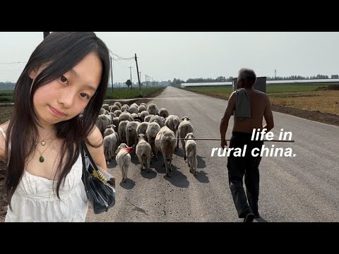 3 days in a village in china without social media, friends, or contact to outside world.