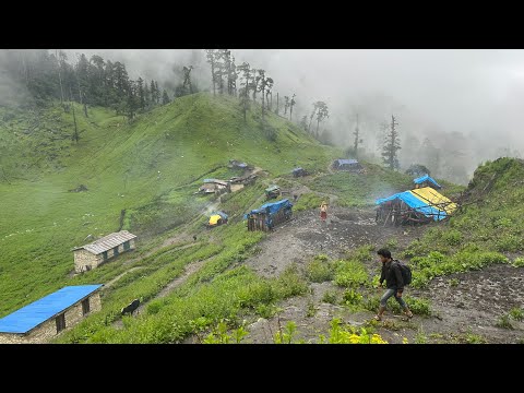 Nepali Mountain Village Life | Himalayan Shepherd Life | Organic Shepherd Food | VillageLifeNepal