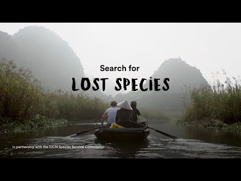 Re:wild's Search for Lost Species — 2024