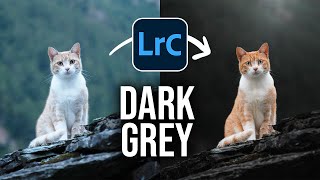 Create THIS DARK GREY Style using ONLY LIGHTROOM!