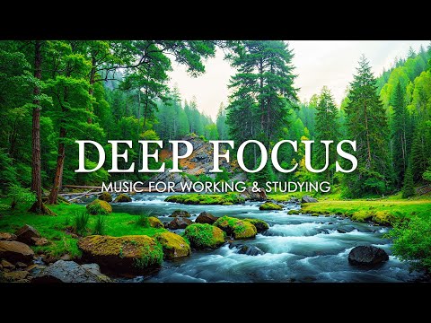 Deep Focus Music To Improve Concentration - 12 Hours of Ambient Study Music to Concentrate #779