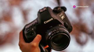 A Review of 1080 Canon EOS Rebel T7  Best Beginner DSLR  2024 11 12