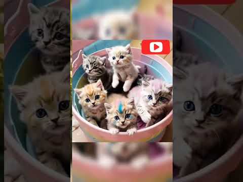 Cat 2025#cat#catvideos #funny#ytshort #shots#viralshots