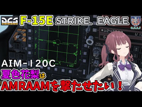 【DCS解説】F-15E アムラーム発射のキー設定 ＆ STTモード