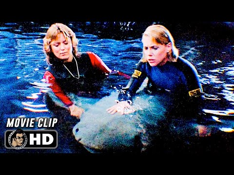 Baby Shark Scene | JAWS 3 (1983) Movie CLIP HD