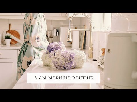 6 AM Morning Routine | Relaxing and Slow Morning | How To Enjoy a Calm Morning At Home [SUB]