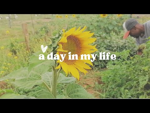 Daily Vlog | Our Morning As a Married Couple | Making Marriage Work | South African Youtuber