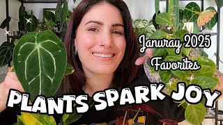 HOUSEPLANTS that make my brain HAPPY!! 🦄💊✨️ January 2025 Favorites 🌿🖤 new leaves, blooms + more