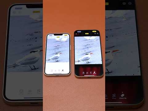 iPhone 16e vs iPhone 16 Pro Max Clean up Apple Intelligence