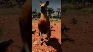 Australia is DANGEROUS 🦘🐪🔫 | STRAYA