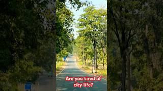 Jhargram Road Trip | Weekend Tour From Kolkata | Jhargram Tourist Spots| Jhargram Tour | #shorts