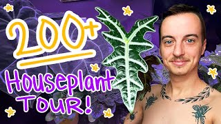 Tour of my OVER 200 Houseplants (Part 1, cause omg)