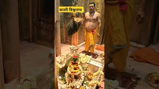 काशी विश्वनाथ मंदिर महामृत्युंजय मंत्र