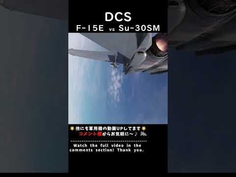 F15E vs Su-30SM #shorts