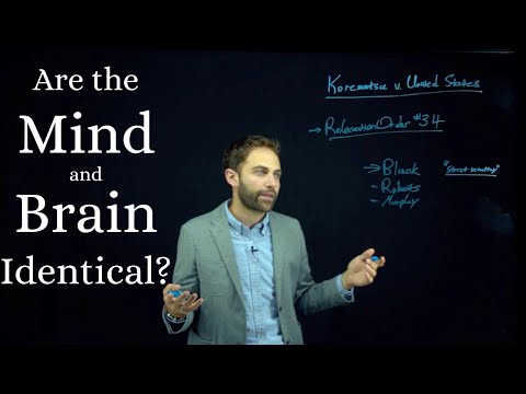 The Mind-Brain Identity Theory