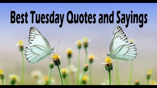 Best Tuesday Quotes and Sayings | Tuesday Motivation