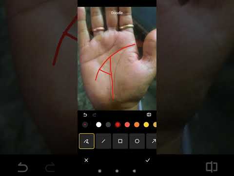 पैसा दौलत #shortsvideo video #palmistry #shorts#viral