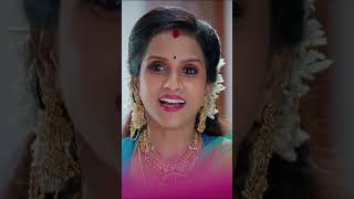 Mr. Manaivi - New Serial Promo | #Shorts #mrmanaivi #Shabana