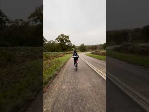 Spotting a deer descending Broomfield Hill - #richmondpark #cycling #london #cyclinguk