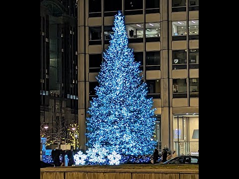 Chicago's Magnificent Mile, Full Length Walk, December 2023