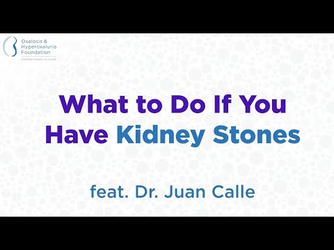 What To Do If You Have KIdney Stones - Featuring Dr. Juan Calle, English Version