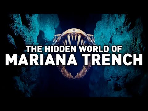 THE TRUTH About the Mariana Trench—Why Scientists Won’t Go Deeper