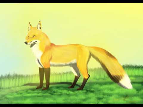 Fox Painting 2 - Krita Timelapse