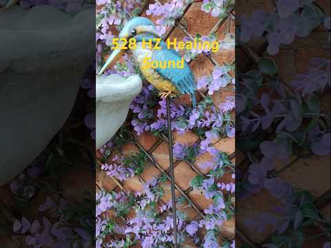 528HZ Healing Sound#healing #sound #528hz #shorts #shortvideo #garden